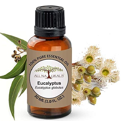 All Naturals Eucalyptus Essential Oil 100% Pure for Cough and Colds