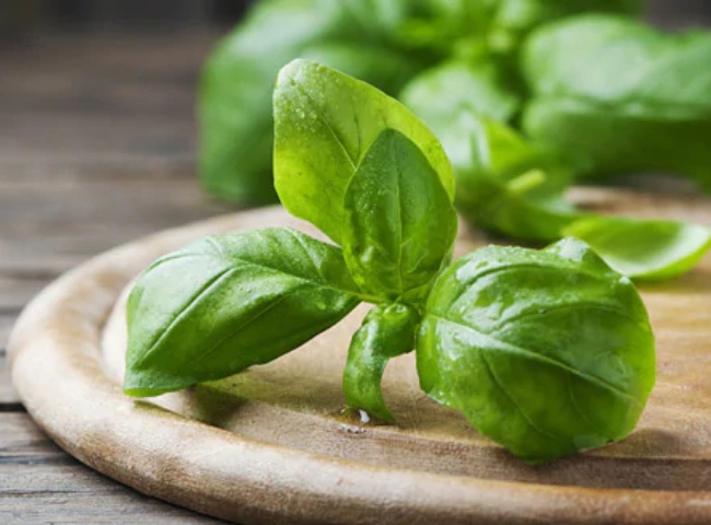 Tulsi Or Basil Leaves How To Cure Cough And Cold In Babies At Home