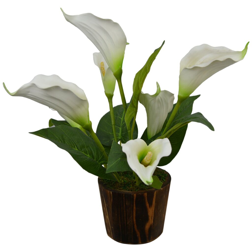 Fancy Mart Artificial Calla Lily Flower with Wooden Pot