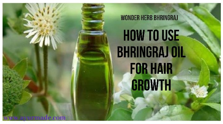 Wonder Herb Bhringraj – How To Use Bhringraj Oil For Hair Growth